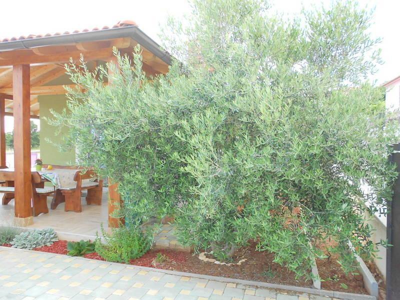 Holiday Home Tanja Pula Bilik gambar